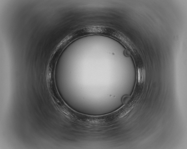 X0000116600723200912181145