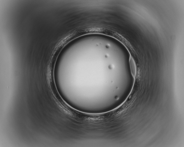 X0000116600725200912181145
