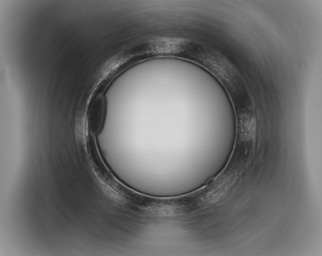 X0000116600726200912181145
