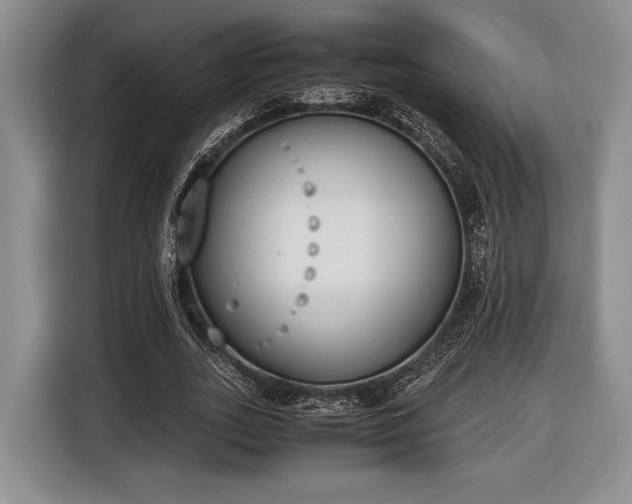 X0000116600727200912181145