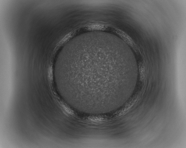 X0000116600729200912181145