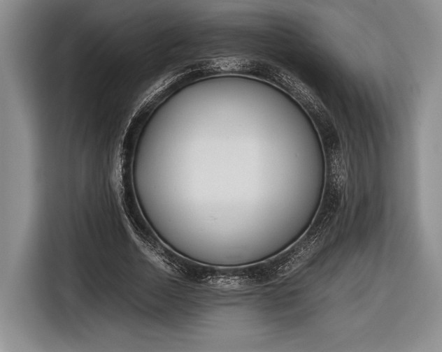 X0000116600730200912181145