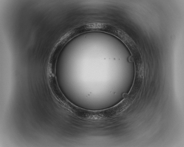 X0000116600731200912181145