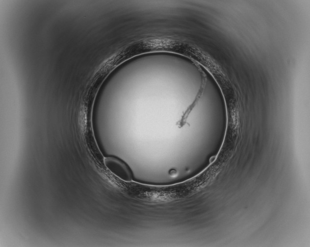 X0000116600733200912181145