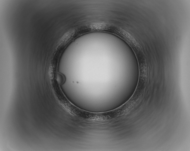 X0000116600738200912181145