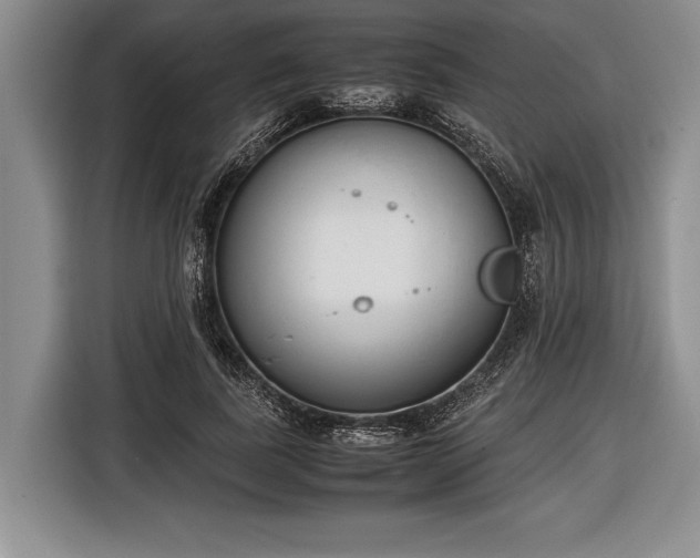 X0000116600739200912181145