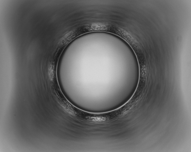 X0000116600741200912181145