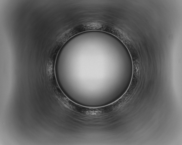 X0000116600745200912181146