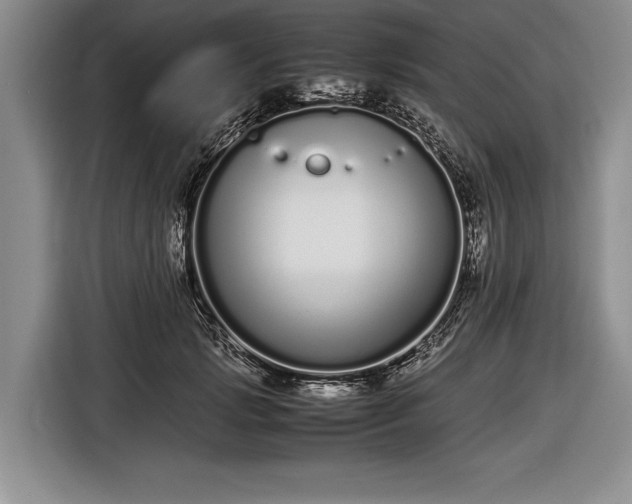 X0000116600749200912181146