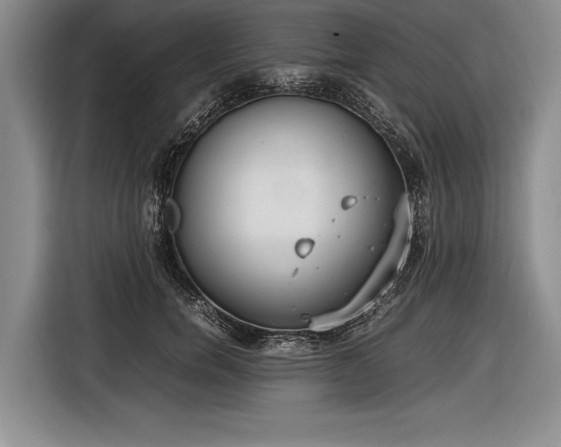 X0000116600750200912181146