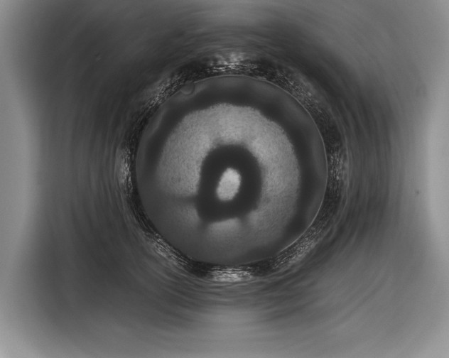 X0000116600754200912181146