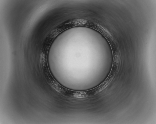 X0000116600761200912181146