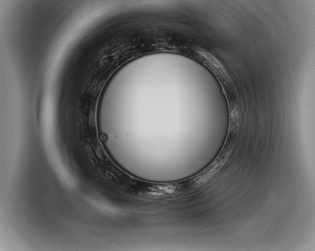X0000116600765200912181146
