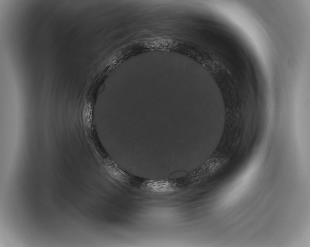 X0000116600767200912181146