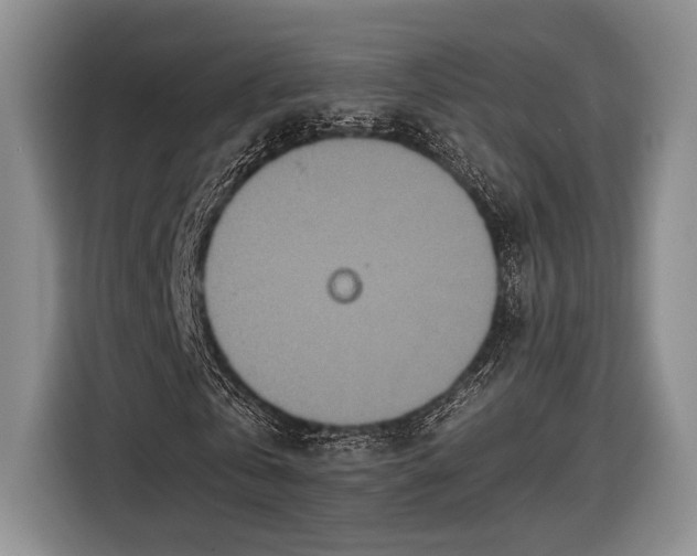 X0000116600769200912181145