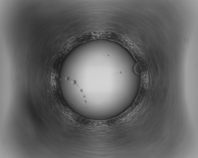 X0000116600770200912181145
