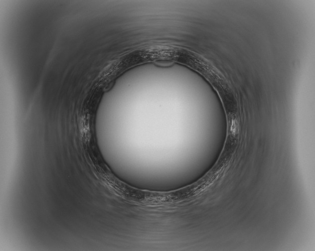 X0000116600771200912181145