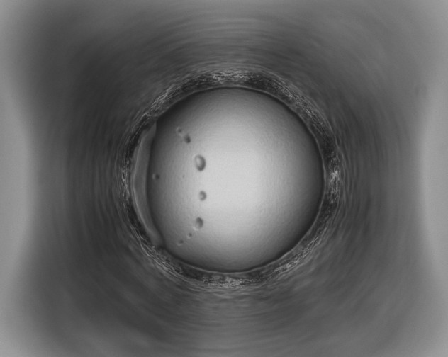 X0000116600772200912181145