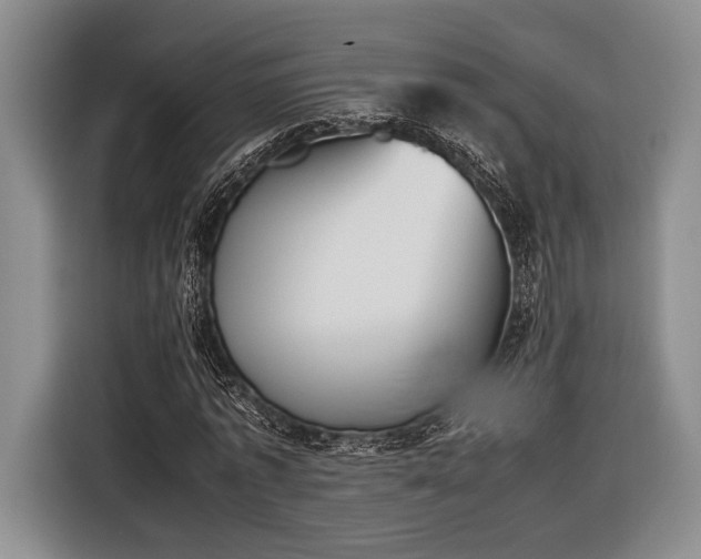 X0000116600773200912181145