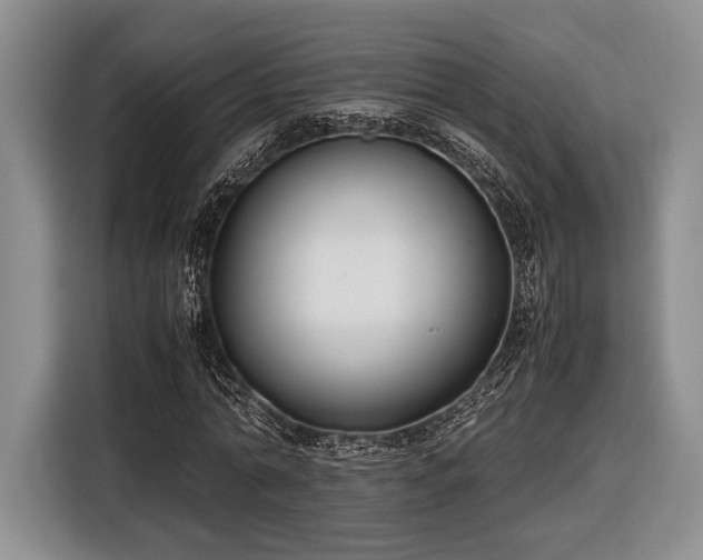 X0000116600774200912181145