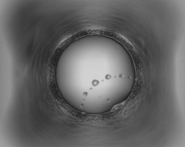 X0000116600775200912181145