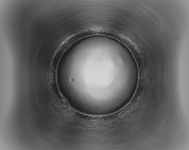 X0000116600776200912181145
