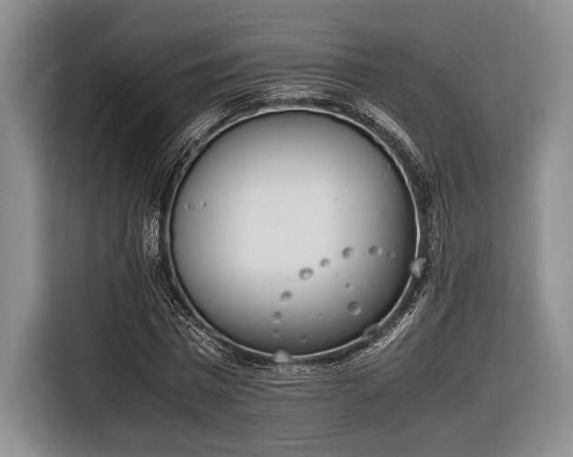 X0000116600777200912181145