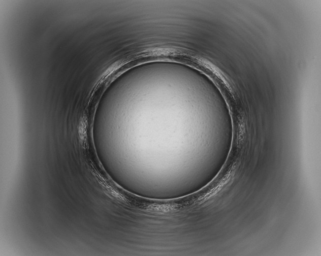 X0000116600778200912181145
