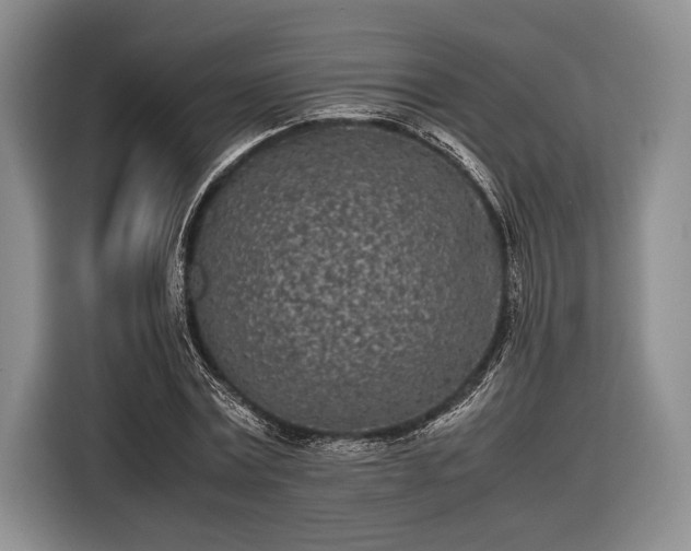 X0000116600779200912181145