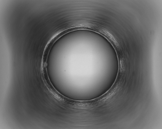 X0000116600780200912181145