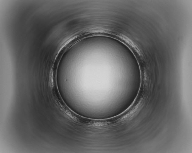 X0000116600782200912181145
