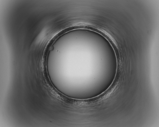 X0000116600783200912181145