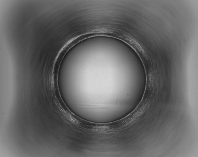 X0000116600784200912181145