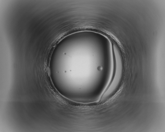 X0000116600785200912181145