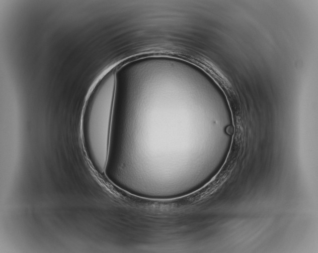 X0000116600788200912181145