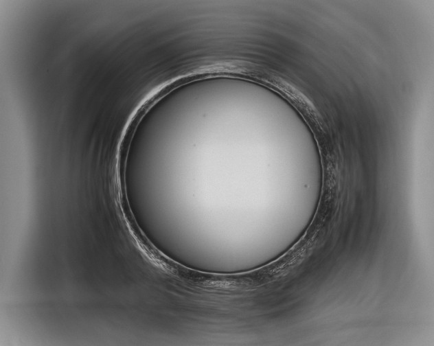 X0000116600792200912181145