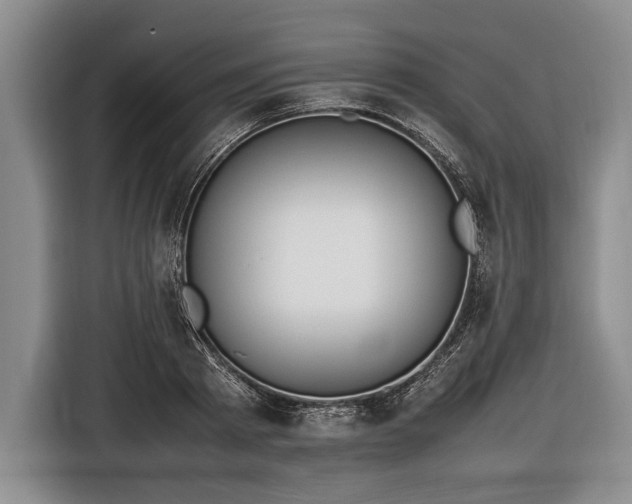 X0000116600793200912181145