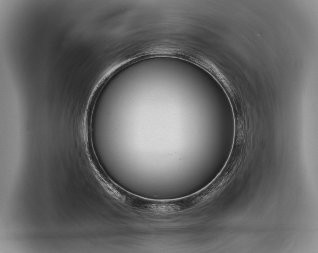 X0000116600795200912181145