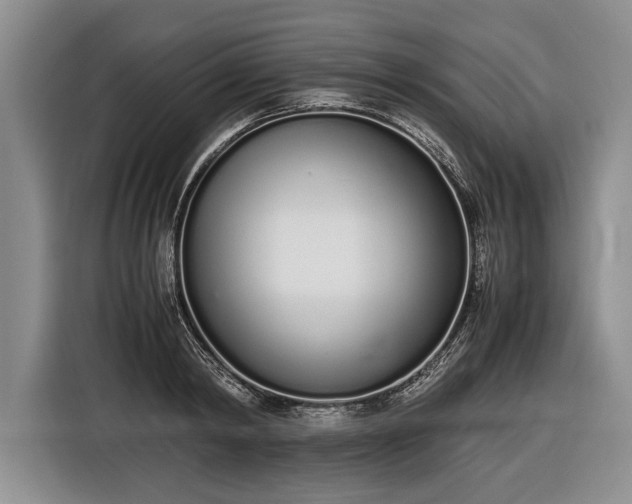 X0000116600798200912181145