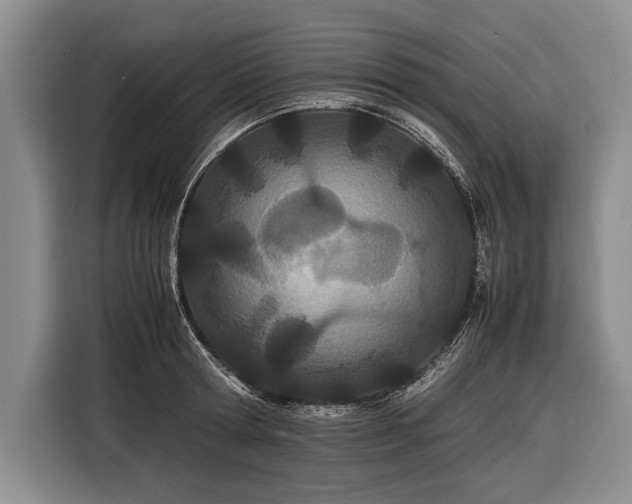 X0000116600802200912181145