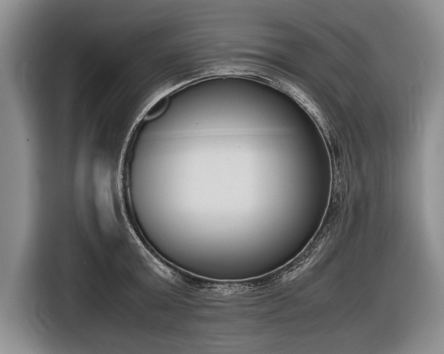 X0000116600803200912181145