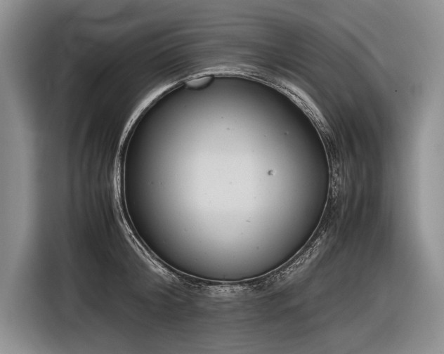 X0000116600804200912181145