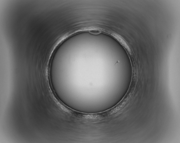 X0000116600805200912181145