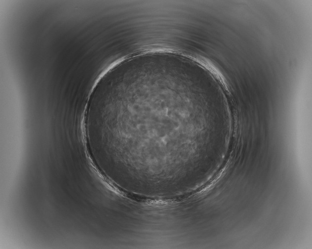 X0000116600806200912181145