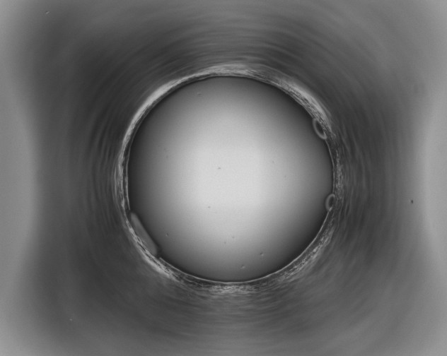 X0000116600808200912181145