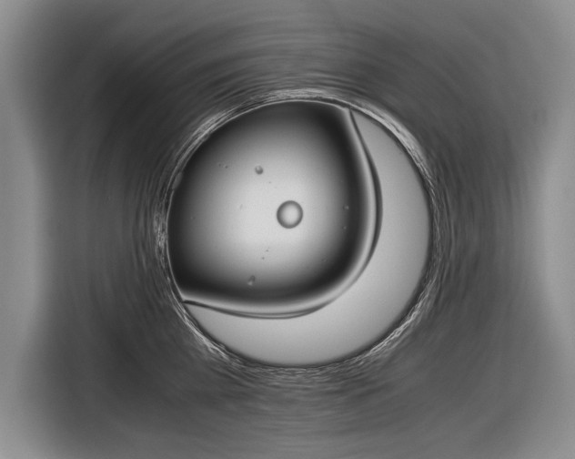 X0000116600809200912181145