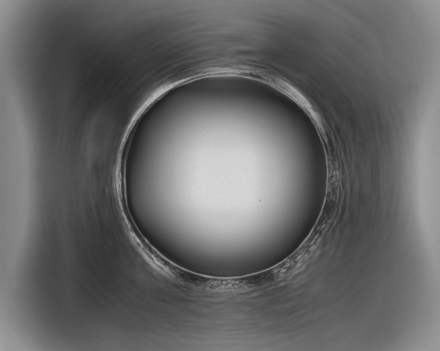 X0000116600811200912181145