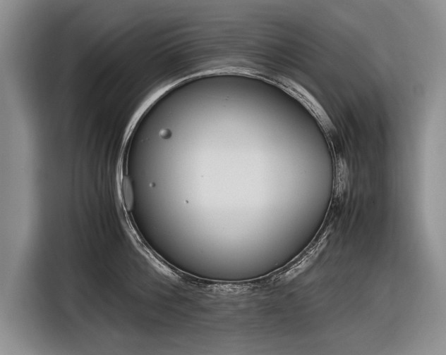 X0000116600812200912181145