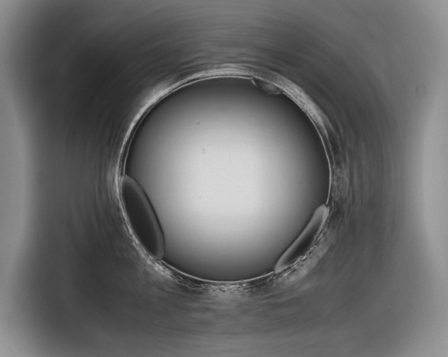 X0000116600813200912181145
