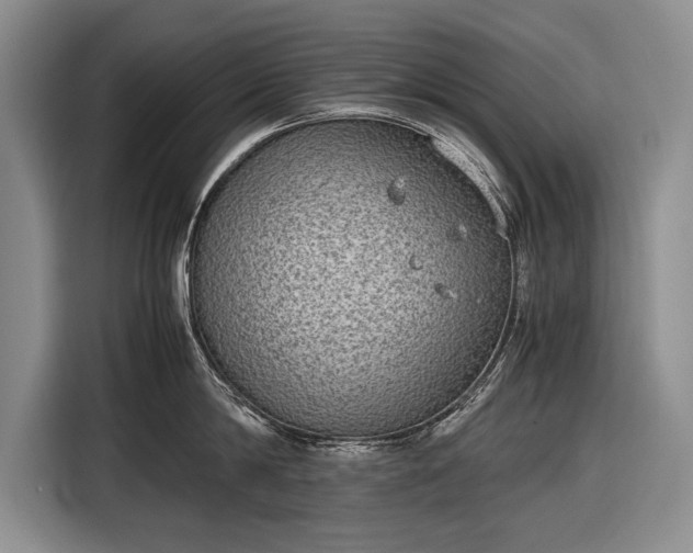 X0000116600814200912181145